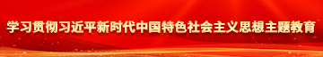 啊啊啊美女日币学习贯彻习近平新时代中国特色社会主义思想主题教育